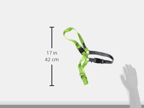 PetSafe Easy Walk Harness for Dogs - Pull-Free Walks - Patented Martingale Loop Design - Front Chest Leash Attachment - Comfort Straps - Breathable Harness Design - Large, Apple Green/Gray | Patented Martingale Loop Gives Gradual Shoulder Pressure to S...