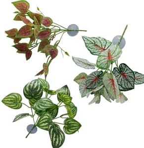 2pcs Reptile Plants for Bearded Draded Tank Accessories, Terrarium Plants Artificial Decor for Snake Cage, Fake Plant for Leopard Gecko Habitat, Lizard Chameleon Ball Pythons (Group B2)