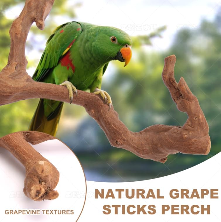 Parrot Perch Bird Perch Stand Set Natural Wild Wood Grape Sticks Paw Grinding Fork Parakeet Climbing Standing Branches Toys Cage Accessories for Conure,Cockatiels Lovebirds,Budgies Chewable 6PC
