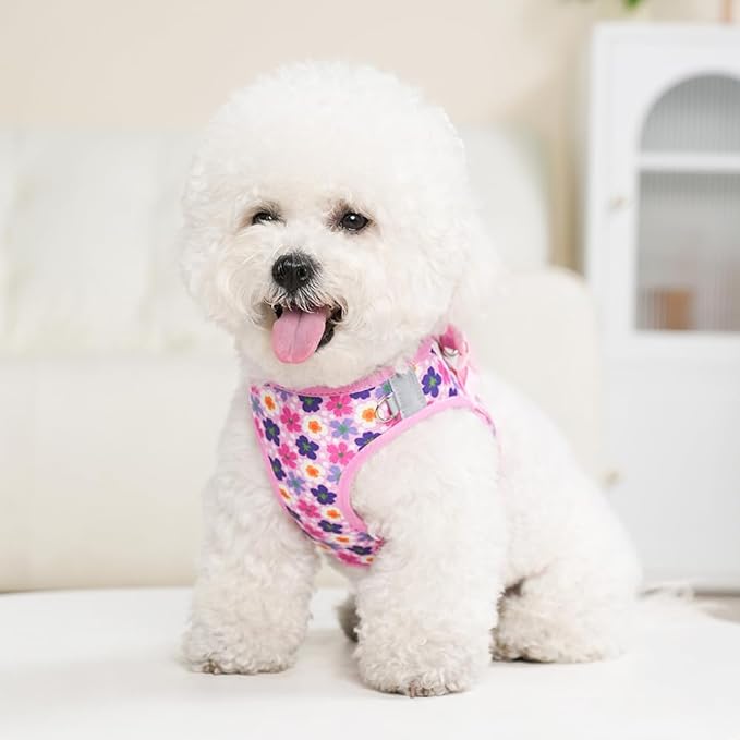 Step in Dog Harness and Leash Set, Flower Adjustable Easy Walk Puppy Harnesses, Soft Mesh No Pull Pet Vest Harness for Small Dogs and Cats(Flower, XXS)