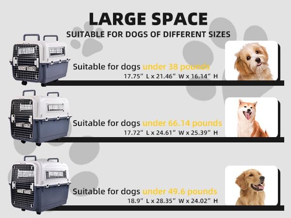 Elevon Plastic Kennels, Plastic Dog Crate, Airline Approved Pet Carrier for Dogs and Cats Longer Traveling, M