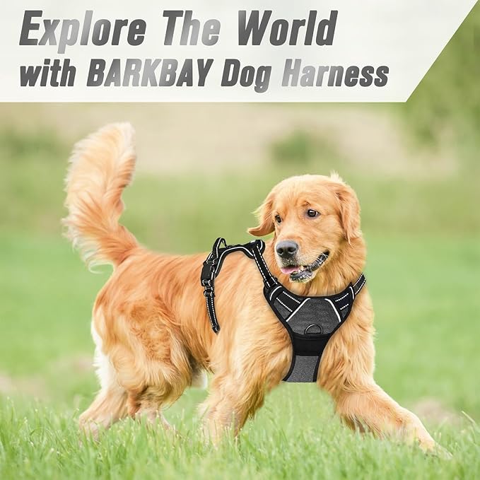 BARKBAY Dog Harness No Pull for Medium Sized Dog Front Back Clips,Dog Vest | Soft Padded No Choke With Handle,Easy On&Off,Adjustable Reflective For Walking Training Running(Dark Grey,M)