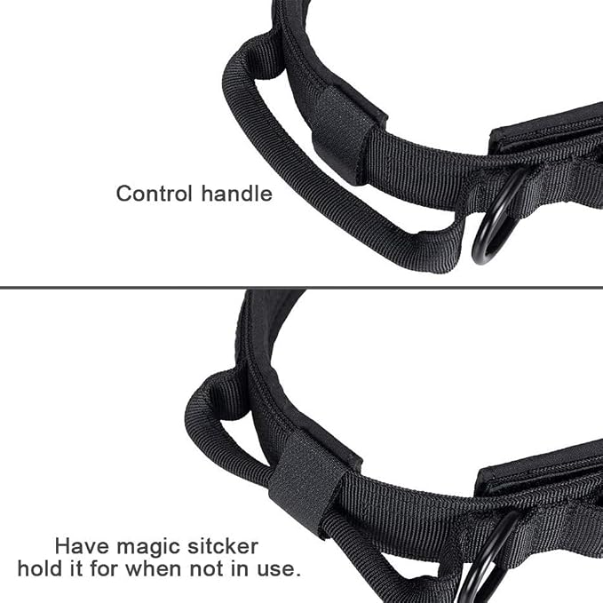 Tactical Dog Collar and Leash Set Adjustable Military Nylon Dog Collar with Control Handle and Heavy Duty Metal Buckle for Large Dogs (Black S | 1000D Nylon Fabric,Adjustable Fit,Heavy-Duty Quick-Release Metal Buckle,Soft-Padded Webbing,D-Ring,for Trai...