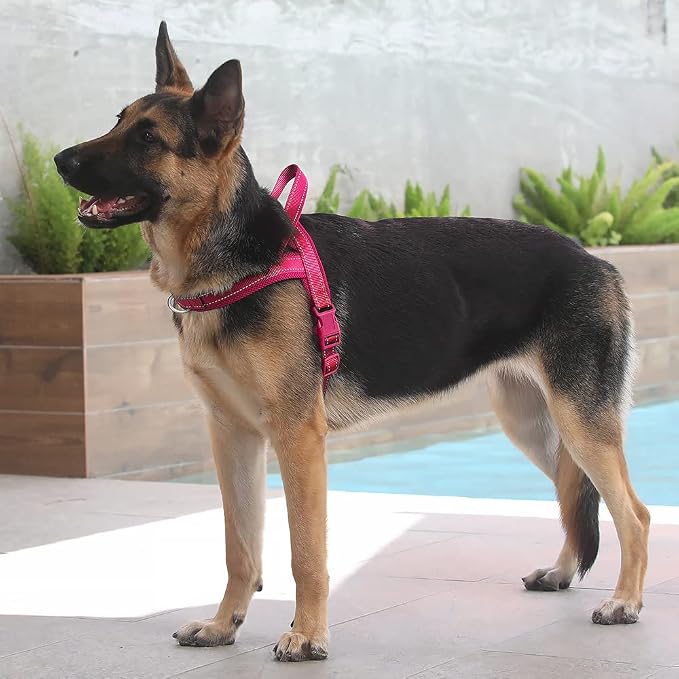 Plutus Pet No Pull Dog Harness for Large Dogs, Breathable Mesh Padded | Adjustable Reflective with Handle, Escape Proof, Quick Fit Pet Vest, Front Clip, for Training and Walking, Pink, XL