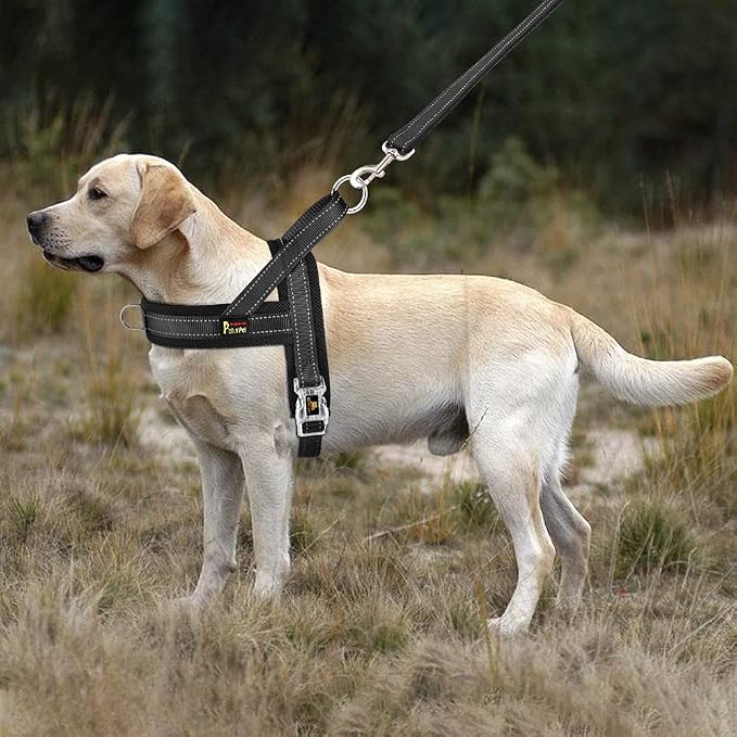 Plutus Pet No Pull Dog Harness for Medium Sized Dog, Breathable Mesh Padded | Adjustable Reflective with Handle, Escape Proof, Quick Fit Pet Vest, Front Clip, for Training and Walking, Black, M