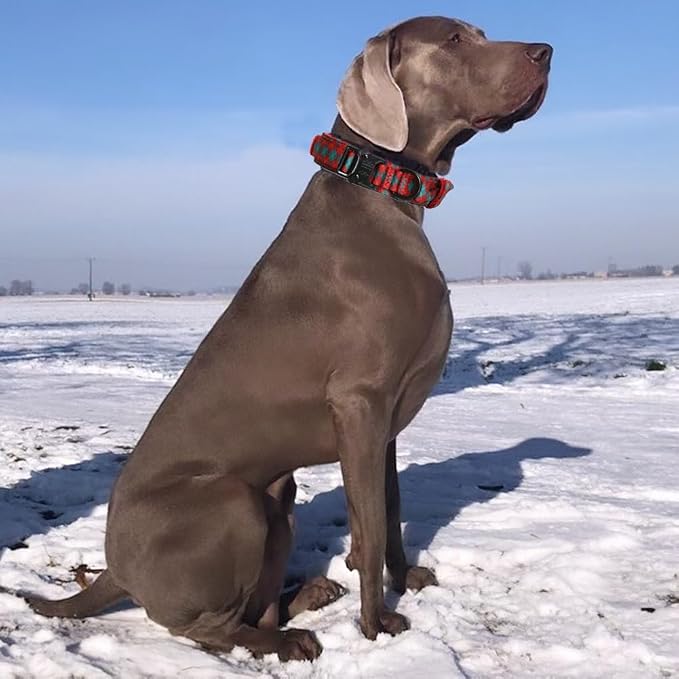 Tactical Dog Collar for Large Dogs with Control Handle,Grid | 1000D Heavy-Duty Nylon Fabric,Quick-Release Metal Buckle,Adjustable Fit,Soft-Padded Webbing,D-Ring,for Training & Hiking,S