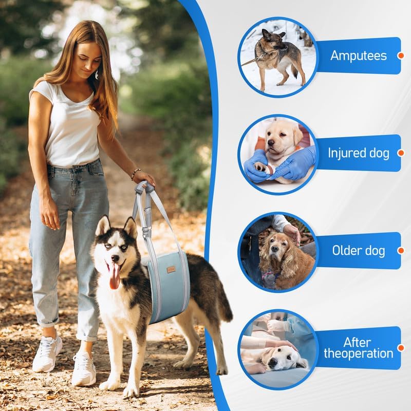 Dog Lift Harness for Medium Dogs - Adjustable Sling for Rear Legs, Hip Support for Canine Aid & Cruciate Ligament Rehabilitation - Medium, Grey