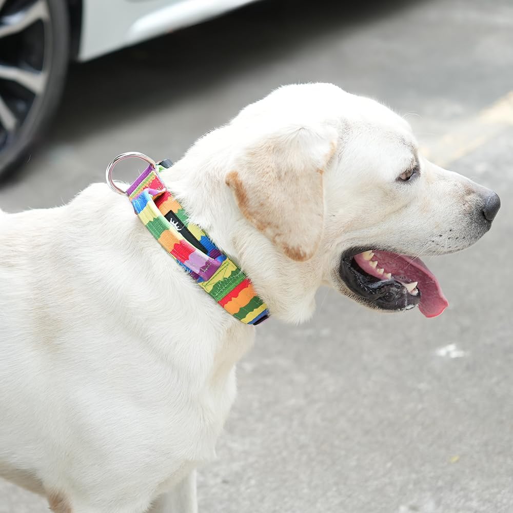 TSPRO Premium Dog Collars Tactical Dog Collar with Handle and Heavy Duty Quick-Release Metal Buckle Durable Thick and Adjustable for Medium to Large Dogs (Cyan Gradient L)