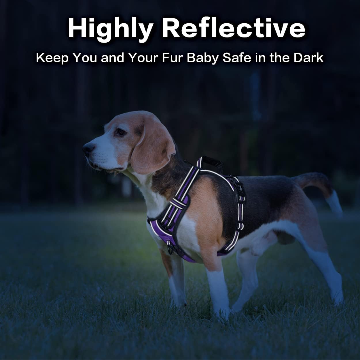 PoyPet No Pull Dog Harness, No Choke Front Clip Reflective Dog Vest with Soft Padded Vertical Handle, 3 Leash Attachments for Small Medium Large Dogs (Purple,M)