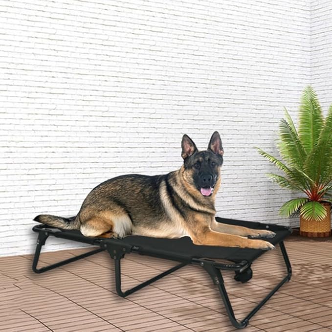 Elevated Raised Small Meduim Dog Bed Cots Cooling Foldable | No Assembly Need Pet Hammock Bed with Breathable Mesh, Indoor Outdoor Dog Pet Bed for Small Meduim Dogs, Chew Proof, Black