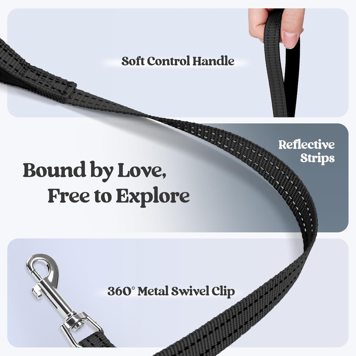 rabbitgoo Dog Harness Small Medium Sized and Leash Set, Step in Soft Light Puppy Vest, Breathable Mesh Pet Harness, Reflective for Safe Easy Walking, Black L