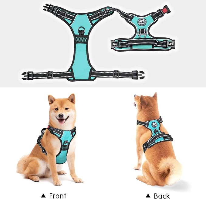 PoyPet No Pull Dog Harness Small with Front Clip & Neck Release Buckle | No Choke, Adjustable Vest, Reflective, Back Clip, Lockable, Soft Padded Handle for Walking Training, S, Mint Blue