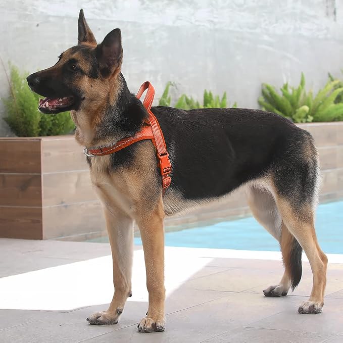 Plutus Pet No Pull Dog Harness for Large Dogs, Breathable Mesh Padded | Adjustable Reflective with Handle, Escape Proof, Quick Fit Pet Vest, Front Clip, for Training and Walking, Orange, L