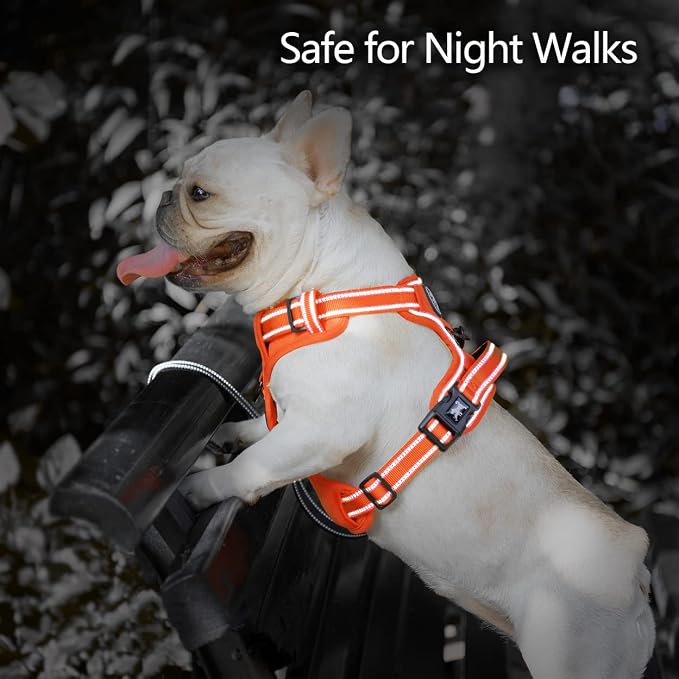 PoyPet No Pull Dog Harness, Reflective Vest with 2 Leash Clips & Handle | Lockable Neck Release Buckle, No Choke, Adjustable, Soft Padded, for Walking Training, Orange Matching Trim, X-Small