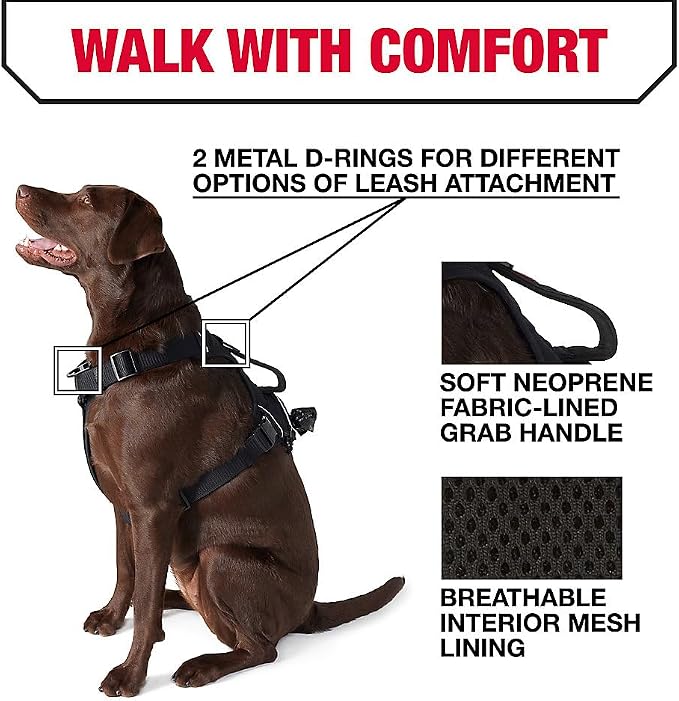 KONG Ultra Durable Waste Bag Harness (Medium, Black)