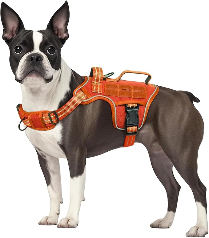 Dog Harness, Tactical No Pull for Small Sized Dog with Handle | Breathable Soft Padded, Adjustable, Reflective, Molle System, Heavy Duty, No Choke for Walking Training, Orange Small