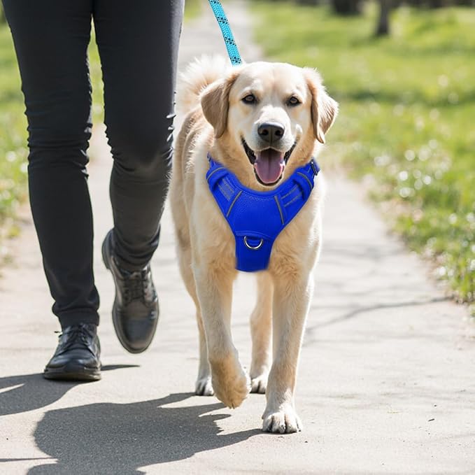 BARKBAY No Pull Dog Harness Large Reflective Dog Harness with Front Clip and Easy Control Handle for Walking Training Running with ID tag Pocket(Sapphire Blue,XL)