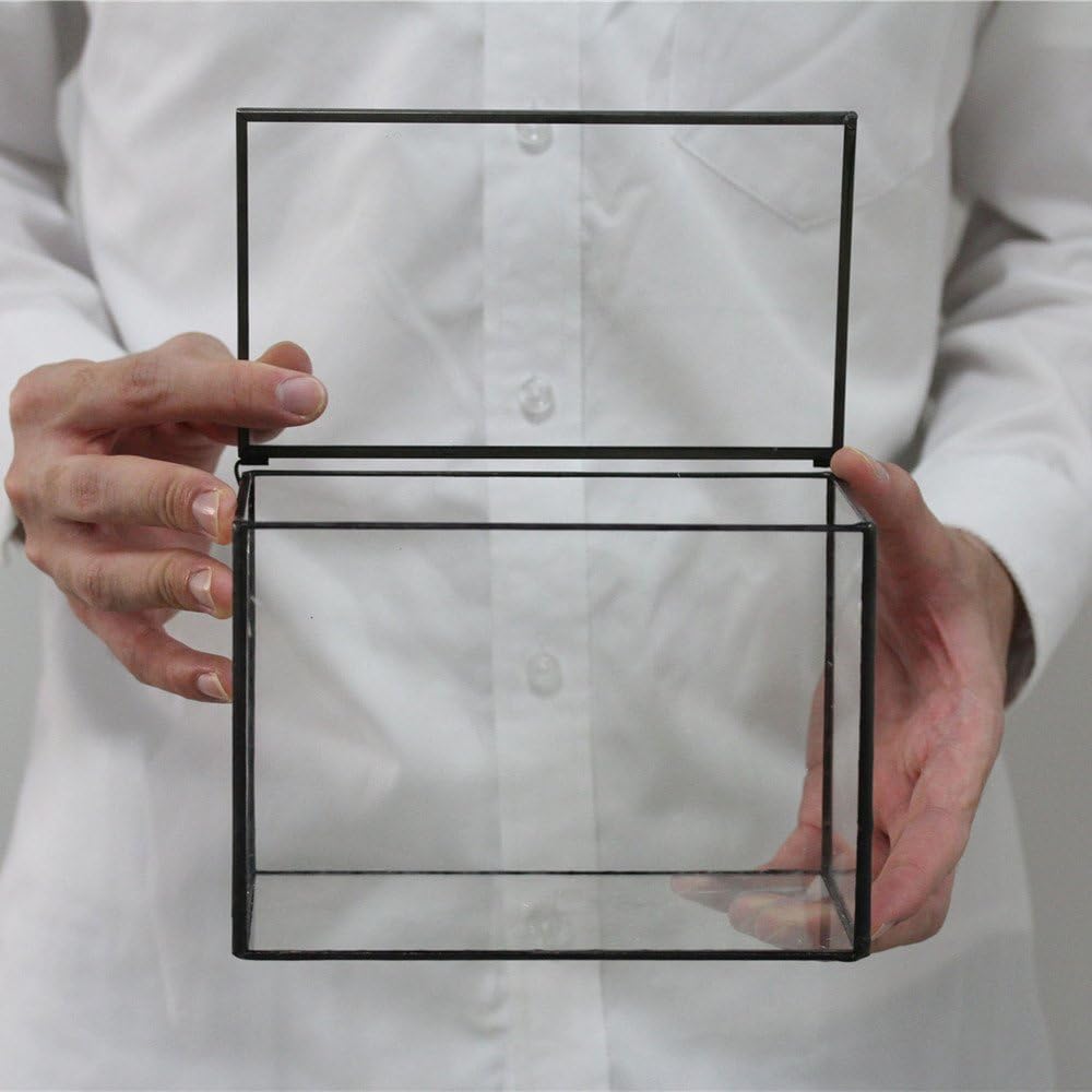 NCYP Small Rectangle Glass Terrarium Planter with Lid, 6.7 x 4 x 4.8 Inches Clear Black Geometric Flower Pot Box for Succulents Air Plant Fern, Tabletop Decoration (No Plants)