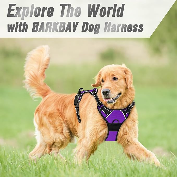 BARKBAY Dog Harness No Pull for Small Sized Dog Front Back Clips,Dog Vest | Soft Padded No Choke With Handle,Easy On&Off,Adjustable Reflective For Walking Training Running(Purple,S)