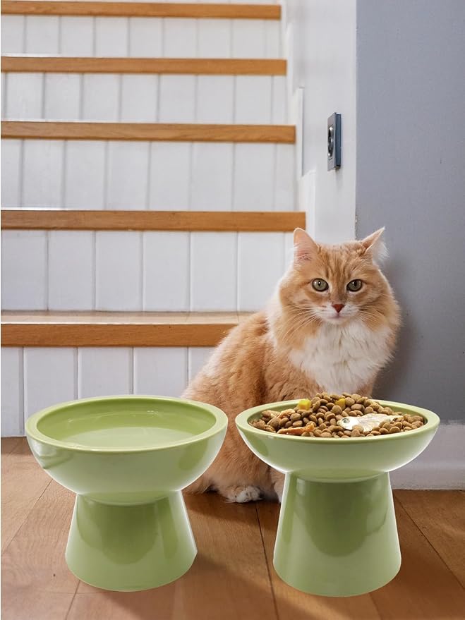 LoeJan Elevated Green Cat Bowls Set - Wide Raised Ceramic Feeder, Anti-Vomit Whisker-Free Bowl for Kittens to Adult Cats