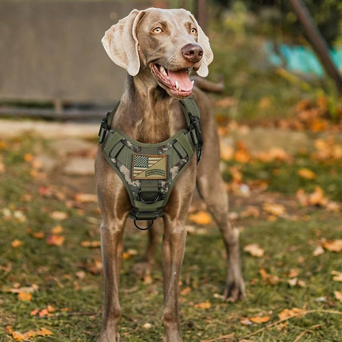 rabbitgoo Tactical Dog Harness X-Large, Heavy Duty Military No Pull Vest | Sturdy Metal Buckles, 5 Adjustments, Molle System, Powerful Pullers for Training, Hunting, Outdoor, Green Camo, X-Large