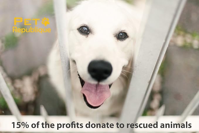 Cat Nail Clippers by Pet Republique – Professional Stainless-Steel Nail Clipper for Cats, Kittens, Hamster, Rabbits, Birds, & Small Breed Animals Claw Trimmer (Black+Pink)