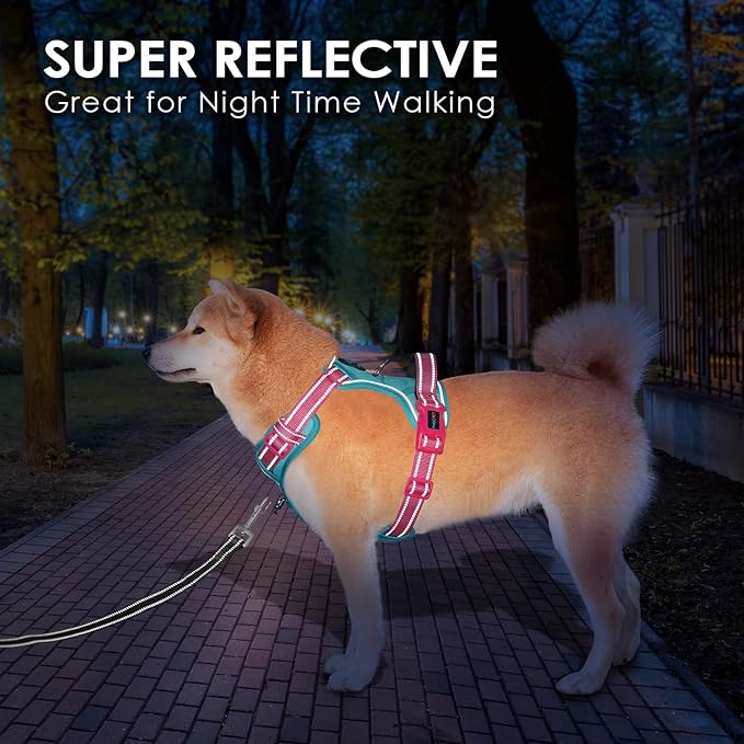 No Pull Dog Harness, Unique Colors Reflective Adjustable Dog Vest | with Soft Training Handle Metal Clips for Small Medium Large Dogs (Mint Green Base & Pink Straps,L)