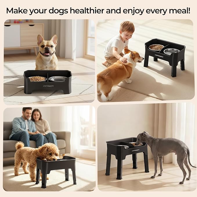 URPOWER Mess Proof Elevated Dog Bowls, Splash Guard Raised Bowl Stand | 4 Adjustable Heights, 2 Stainless Steel Bowls, Food & Water Separation, Non-Slip Base, Foldable Design for Small Dogs