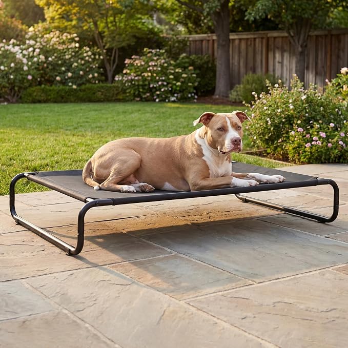 Veehoo Cooling Elevated Dog Bed, Outdoor Raised Dog Bed for Large Dogs | Dog Cot with Thickened Frame, Durable Teslin Mesh & Anti-Slip Rubber Feet, Pet Hammock for Indoor or Camping, 45", Black