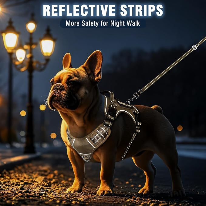 Tactical Dog Harness and Leash Set Medium Sized Dog+10 Dog Patches | Adjustable No Pull Service Animal Dog Vest with Dog Seat Belt,Padded Handles,Reflective Easy Walk for Training Hiking Brown M