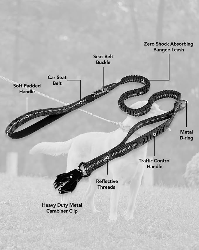 Joytale Tactical Bungee Dog Leash, Shock Absorbing No Pull, Black | For Large Dogs That Pull, 2 Padded Handles for Control, Car Seatbelt Clip, Reflective for Night Safety, Metal Frog Clip
