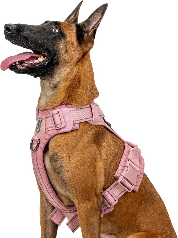 OneTigris Soft Padding No Pull Dog Vest Harness for Medium and Large Dogs | High-tensile Nylon, Adjustable, Reflective, 1 Handle, 3 D-rings, Lightweight, Tough, Easy on/off Tactical Dog Harness