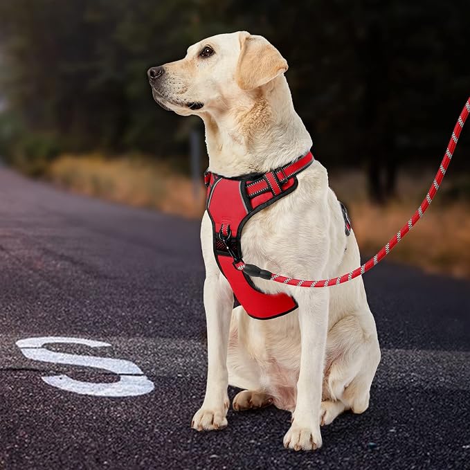 IVY&LANE No Pull Dog Harness for Medium Dogs, Dog Vest Harness with Leash, Safety Belt and Storage Strap, Fully Adjustable, 360° Reflective Strip, Soft Handle (Red, M)