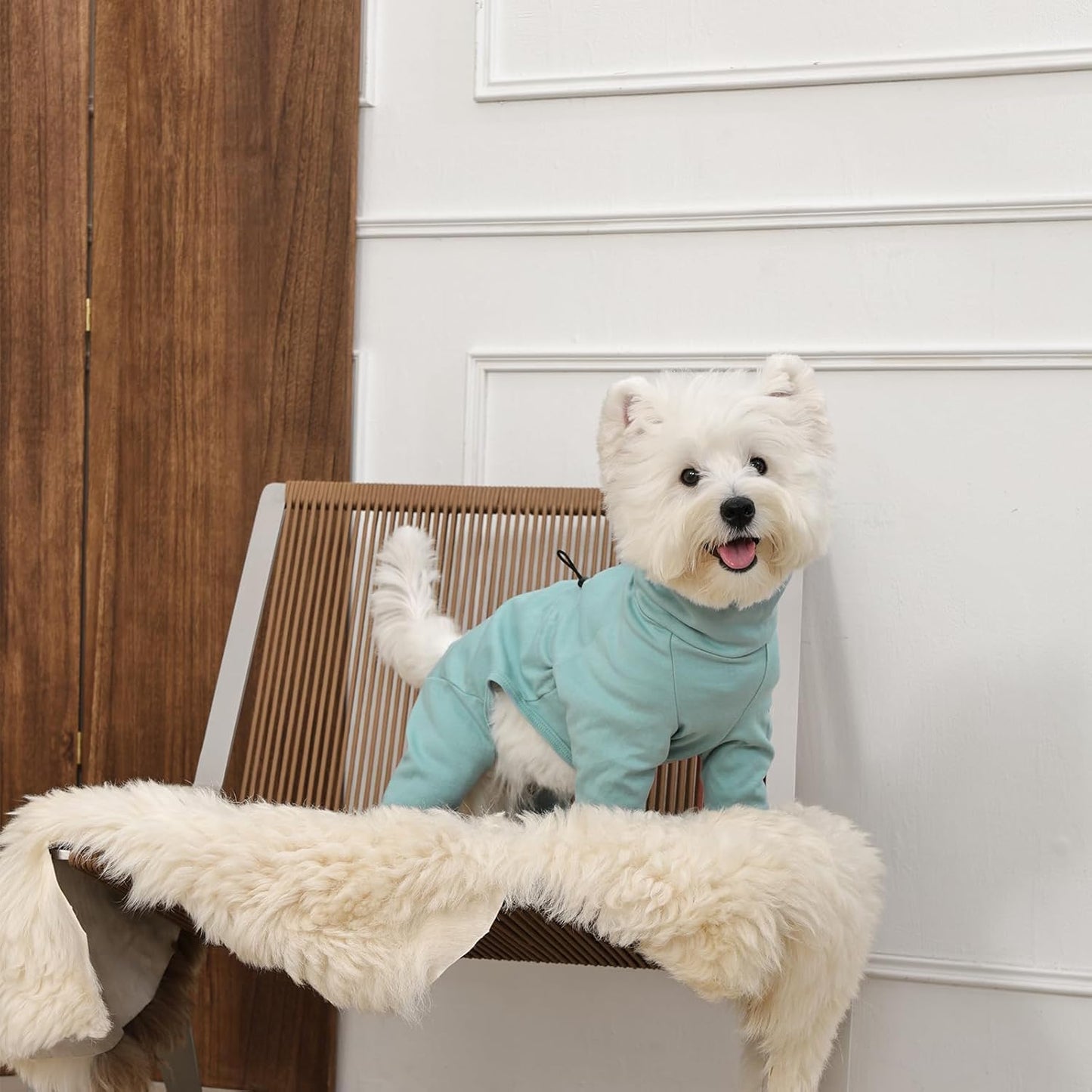 Small Dog Pajamas for Boys & Girls, Soft Dog Recovery Suit with Back Zipper & Adjustable Drawstrings, Long Sleeve Anti-Licking Pjs Shedding Suits for Chihuahua, Yorkshire Terrier, Green XS