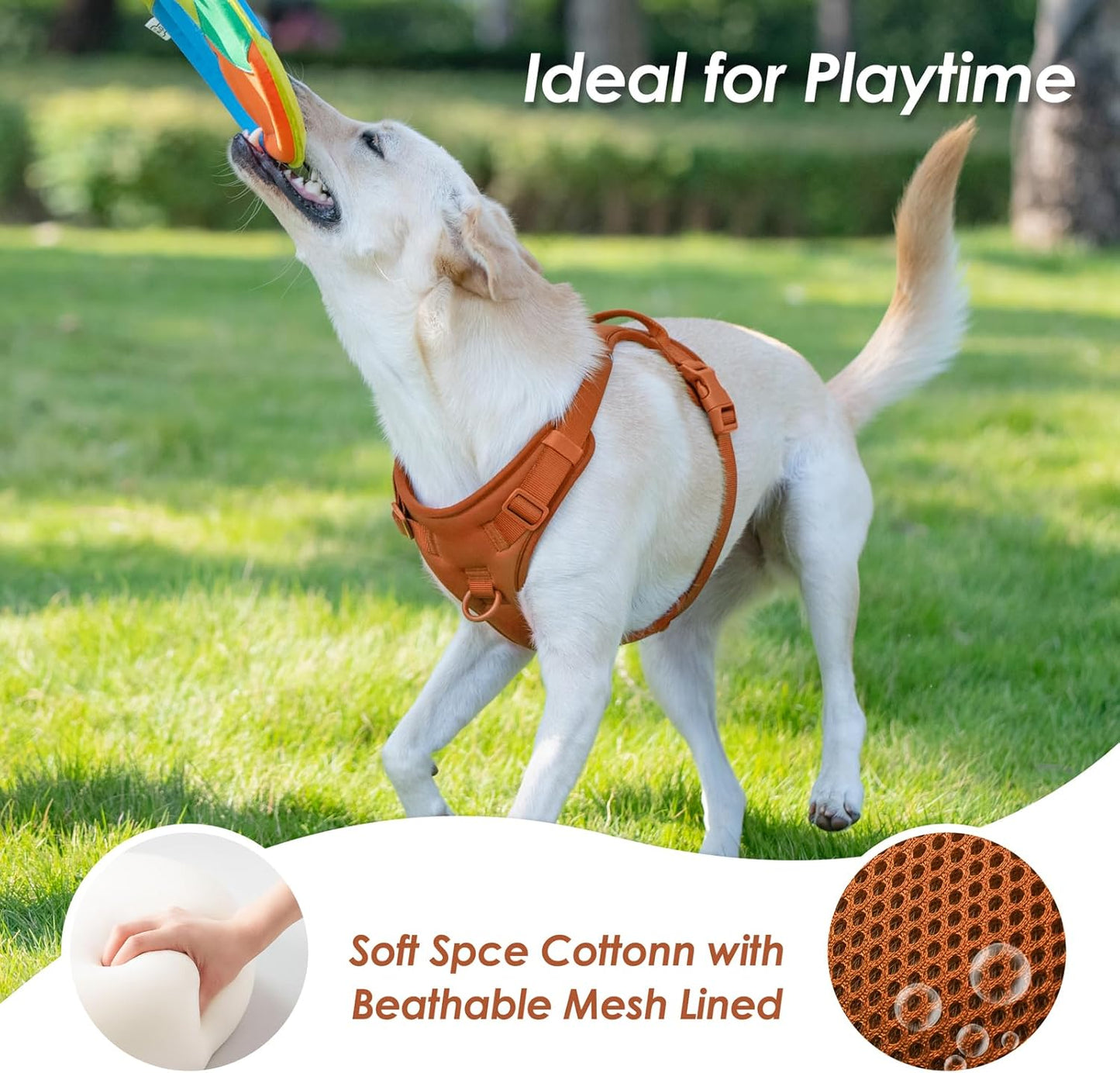 No Pull Dog Harness, Puppy Vest with Front Clip for Small Medium Large Sized Dog(Carmel Brown,XS)