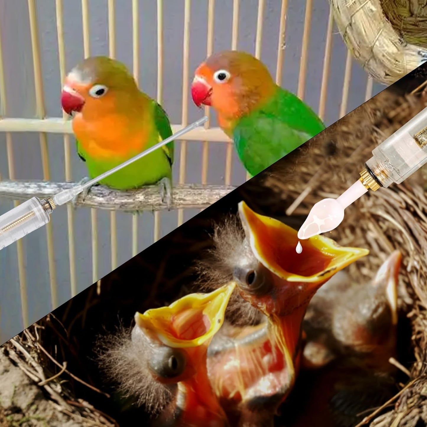 8 Pcs Bird Feeding Syringe Set Feeding Tubes for Baby Birds Parrot Hand Feeding Syringe Pet Syringe Feeding Tube Stainless Steel Metal Feeding Spoon Small Animals (50ml-Set of Eight)