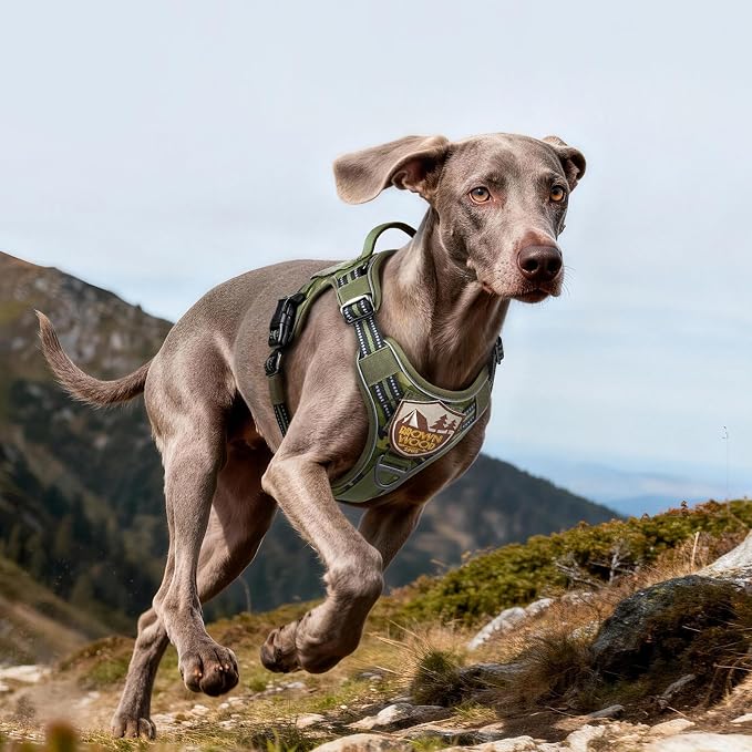 rabbitgoo Tactical Dog Harness for Large Dogs, No Pull Service Pet Vest | Military Molle System & Easy Control Handle, Adjustable and Reflective for Walking and Training, Green Camo, Large