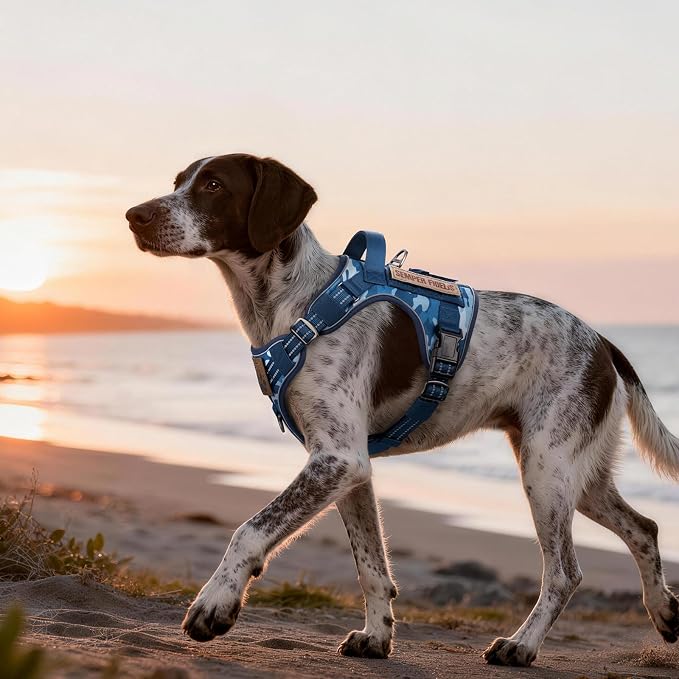 rabbitgoo Tactical Dog Harness Medium Sized, No Pull Service Pet Vest | Military Molle System & Easy Control Handle, Adjustable and Reflective for Walking and Training, Blue Camo, Medium