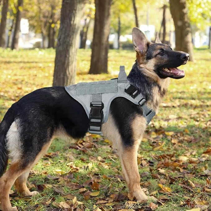 rabbitgoo Tactical Dog Harness X-Large, Heavy Duty Military No Pull Vest | Sturdy Metal Buckles, 5 Adjustments, Molle System, Powerful Pullers for Training, Hunting, Outdoor, Grey, X-Large