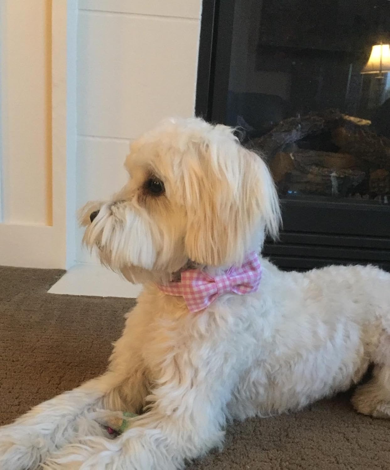 Lionet Paws Dog Collar with Bowtie, Comfortable Adjustable Cute Pink Gingham Bow Tie Collar for Female Dogs Gift, Medium, Neck 13.5-22 inches