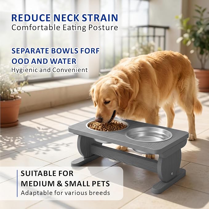 Raised Dog Bowl Stand for Small Sized Breed, Feeding Station with 21 oz 2 Stainless Steel Bowls & Licking Plate,Dog Food Bowl Gray