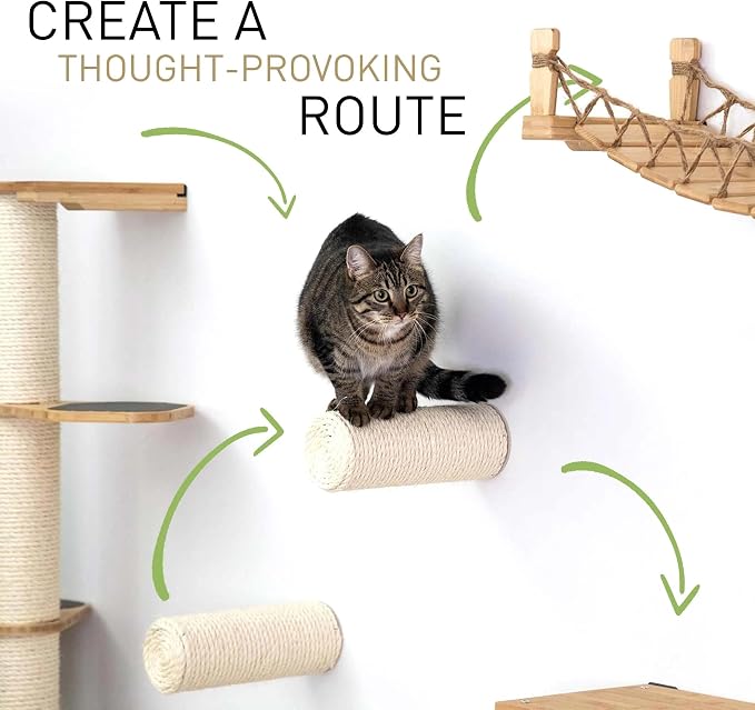 CatastrophiCreations Cat Fort Set - Multiple-Level Cat Hammock & Climbing Activity Center Wall-Mounted Cat Tree Shelves