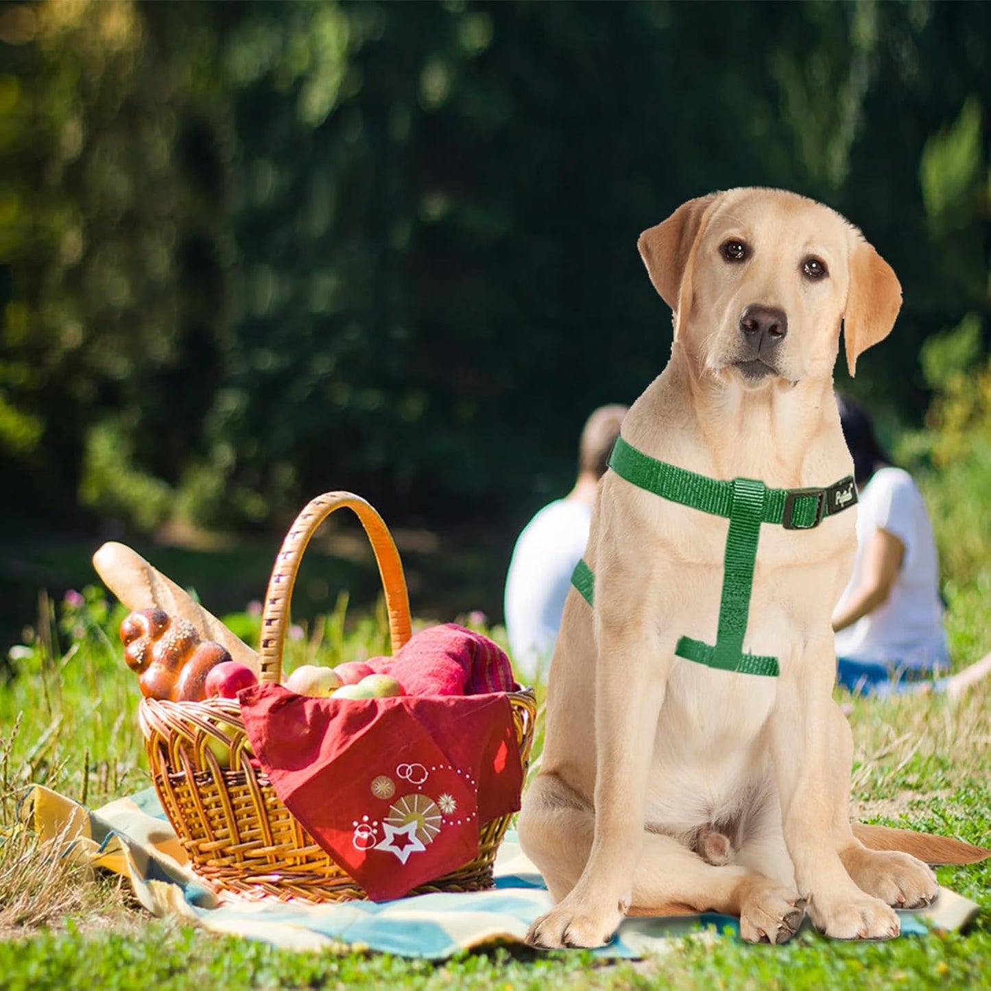 PUPTECK No Pull Dog Harness Soft Adjustable Basic Nylon Step in Puppy Vest Outdoor Walking with ID Tag, Blackish Green, M