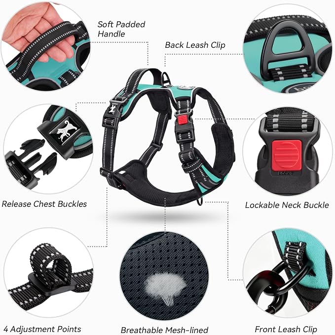 PoyPet No Pull Dog Harness Large with Front Clip & Neck Release Buckle | No Choke, Adjustable Vest, Reflective, Back Clip, Lockable, Soft Padded Handle for Walking Training, XL, Mint Blue