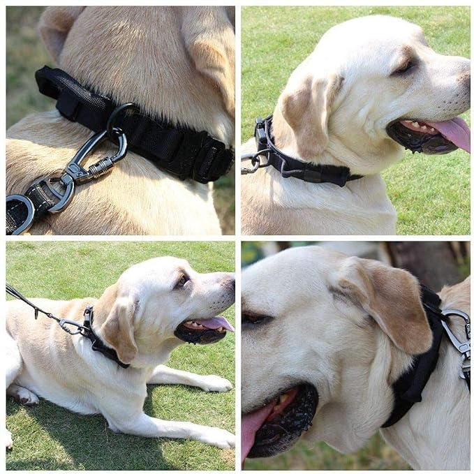 Tactical Dog Collar and Leash Set Adjustable Military Nylon Dog Collar with Control Handle and Heavy Duty Metal Buckle for Large Dogs(Black XL | 1000D Heavy-Duty Nylon Fabric,Quick-Release Metal Buckle,Adjustable Fit,Soft-Padded Webbing,D-Ring,for Trai...