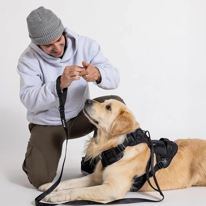 Fei & Eve Classic Dog Harness, MagEase Magnetic Buckle | 3-Point No-Pull Control, Dual Handle Support, 900D Nylon, Tactical Patch Panel, Heavy Duty, Small, Black