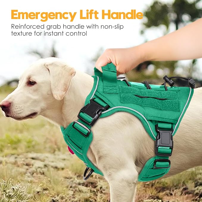 Heavy-Duty Tactical Dog Harness for Large Dogs, No Pull Adjustable Reflective Pet Vest with Molle System, K9 Military-Grade Control for Service Training, Outdoor & 10+ Breeds, Turquoise, Small