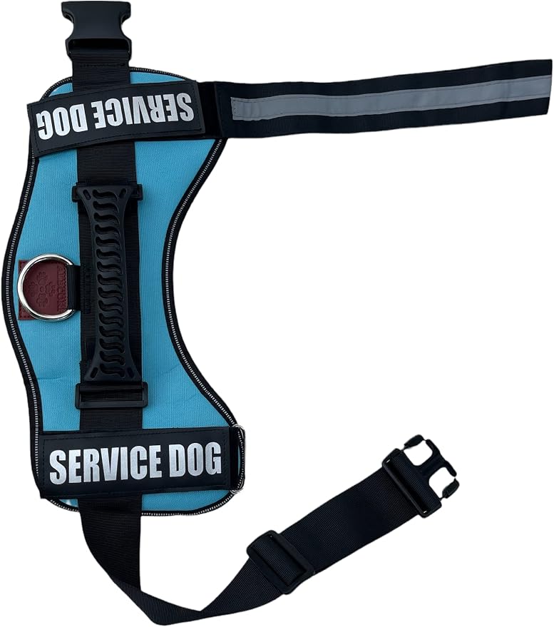 Service Dog Vest Harness – Reflective Service Animal Vest, No-Pull Harness with Handle & Mesh Padding – Sizes XXS-XL for Puppies – 2 Removable Service Patches Included (Medium, Blue)