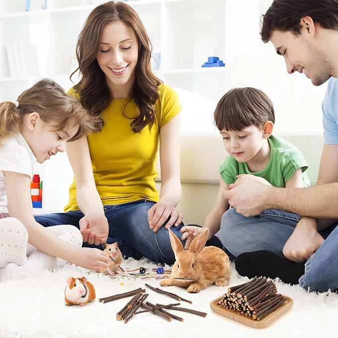 900g Apple Sticks Wood Chew Sticks Toys for Rabbits Chinchillas Guinea Pigs Hamsters Bunny Molar Chew Treats Toys for Teeth, Small Animals Snacks