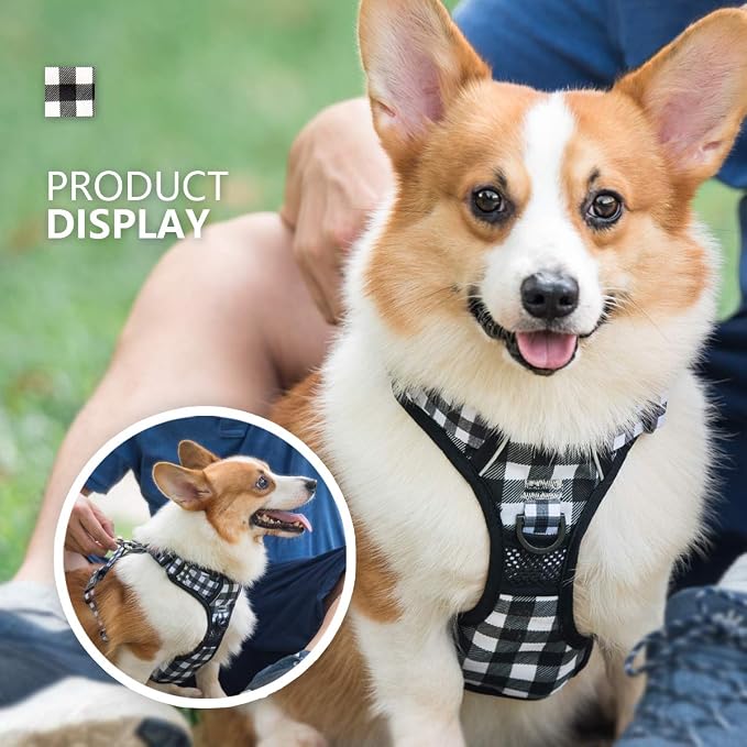 PoyPet Plaid Dog Harness Small, No Pull Vest with Front Clip & Neck Buckle | Padded Handle, Reflective, No Choke, Lockable, 2 Leash Rings, Full Adjustable, for Training Walking, S, Grid